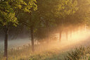 BUITEN BEELD Foto: 331053