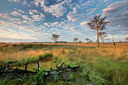 BUITEN BEELD Foto: 331057