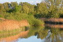BUITEN BEELD Foto: 331121