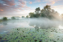BUITEN BEELD Foto: 331180