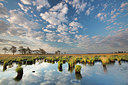 BUITEN BEELD Foto: 331184