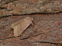 BUITEN BEELD Foto: 331190