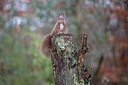 BUITEN BEELD Foto: 331291