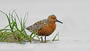 BUITEN BEELD Foto: 331345