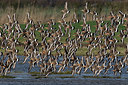 BUITEN BEELD Foto: 331365