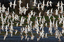 BUITEN BEELD Foto: 331366