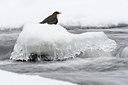 BUITEN BEELD Foto: 331394