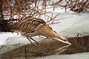 BUITEN BEELD Foto: 331405