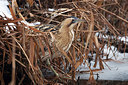 BUITEN BEELD Foto: 331408
