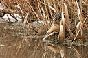 BUITEN BEELD Foto: 331415