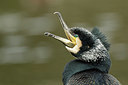 BUITEN BEELD Foto: 331466