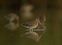 BUITEN BEELD Foto: 331572