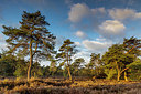 BUITEN BEELD Foto: 331582