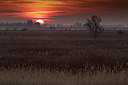 BUITEN BEELD Foto: 331587