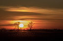 BUITEN BEELD Foto: 331588