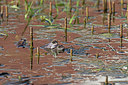 BUITEN BEELD Foto: 331637