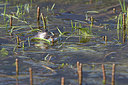 BUITEN BEELD Foto: 331638