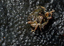 BUITEN BEELD Foto: 331757