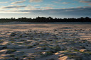 BUITEN BEELD Foto: 331784