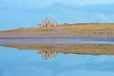 BUITEN BEELD Foto: 331872