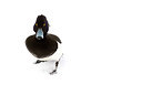 BUITEN BEELD Foto: 331903