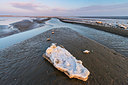 BUITEN BEELD Foto: 331938