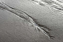 BUITEN BEELD Foto: 331947
