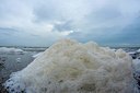 BUITEN BEELD Foto: 332101