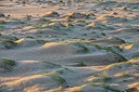 BUITEN BEELD Foto: 332122