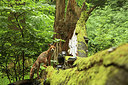 BUITEN BEELD Foto: 332237
