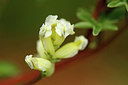 BUITEN BEELD Foto: 332246