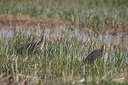 BUITEN BEELD Foto: 332317