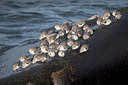 BUITEN BEELD Foto: 332325
