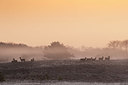 BUITEN BEELD Foto: 332341