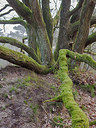BUITEN BEELD Foto: 332357