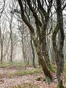 BUITEN BEELD Foto: 332359