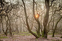 BUITEN BEELD Foto: 332361
