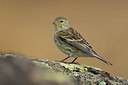 BUITEN BEELD Foto: 332378