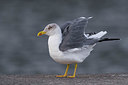 BUITEN BEELD Foto: 332387