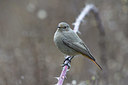 BUITEN BEELD Foto: 332440