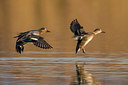 BUITEN BEELD Foto: 332697