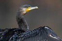 BUITEN BEELD Foto: 332857