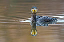 BUITEN BEELD Foto: 332867