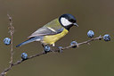 BUITEN BEELD Foto: 332878