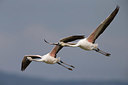BUITEN BEELD Foto: 332893