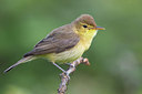 BUITEN BEELD Foto: 332953