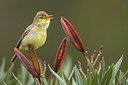 BUITEN BEELD Foto: 332954