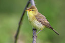 BUITEN BEELD Foto: 332956