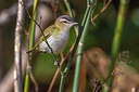 BUITEN BEELD Foto: 333007