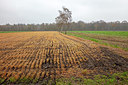 BUITEN BEELD Foto: 333122